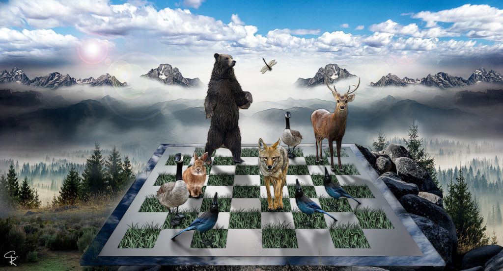Mountain Checkmate by Catherine King