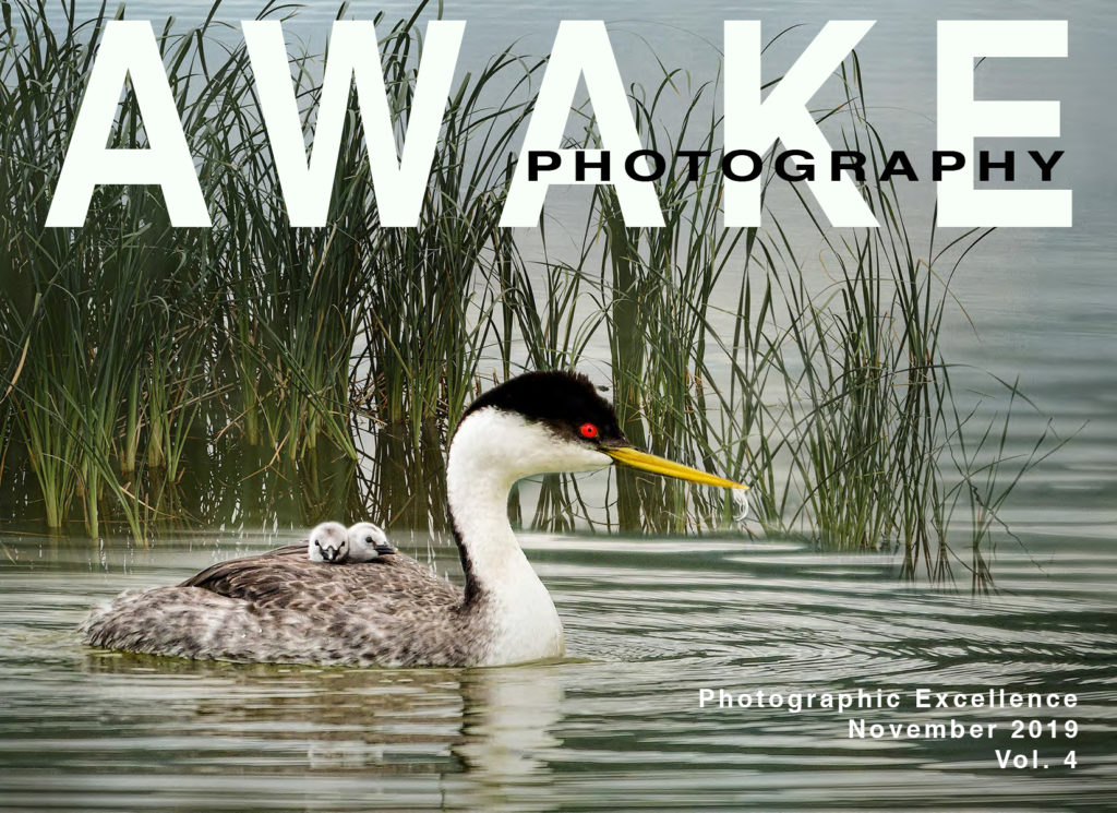 AWAKE Photography Magazine - Issue 4